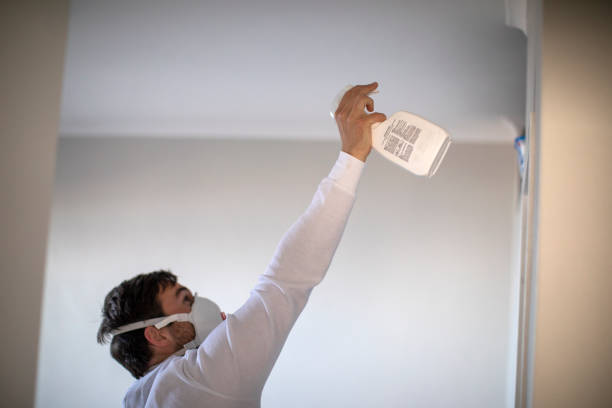 Best Mold Removal Company Near Me  in Houston, PA