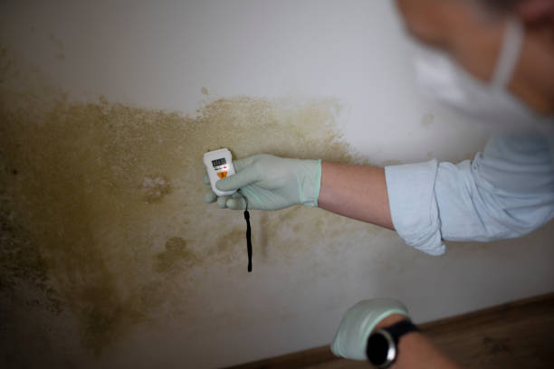 Best Mold Testing  in Houston, PA