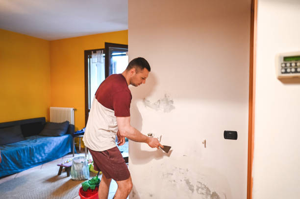 Trusted Houston, PA Mold Removal Experts